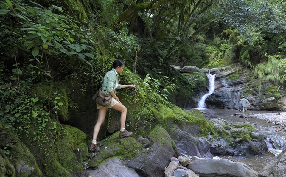Half-Day Nature Tour in the Yungas from Tucumán