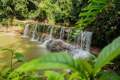 Adventure Tour to Regalias Waterfall in Pucallpa, Peru