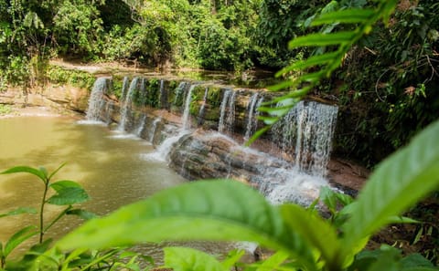 Adventure Tour to Regalias Waterfall in Pucallpa, Peru