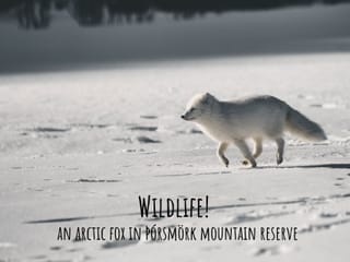 4-Day All-Inclusive Northern Lights Adventure | Midgard , photo 10