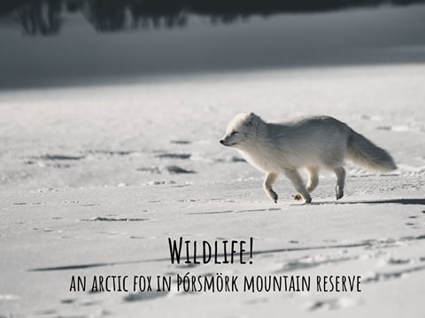 4-Day All-Inclusive Northern Lights Adventure | Midgard , photo 10