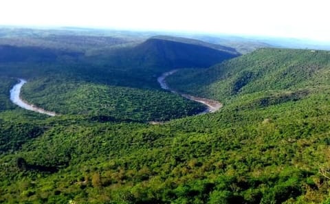 Day Tour To Shimba Hills Park from Mombasa
