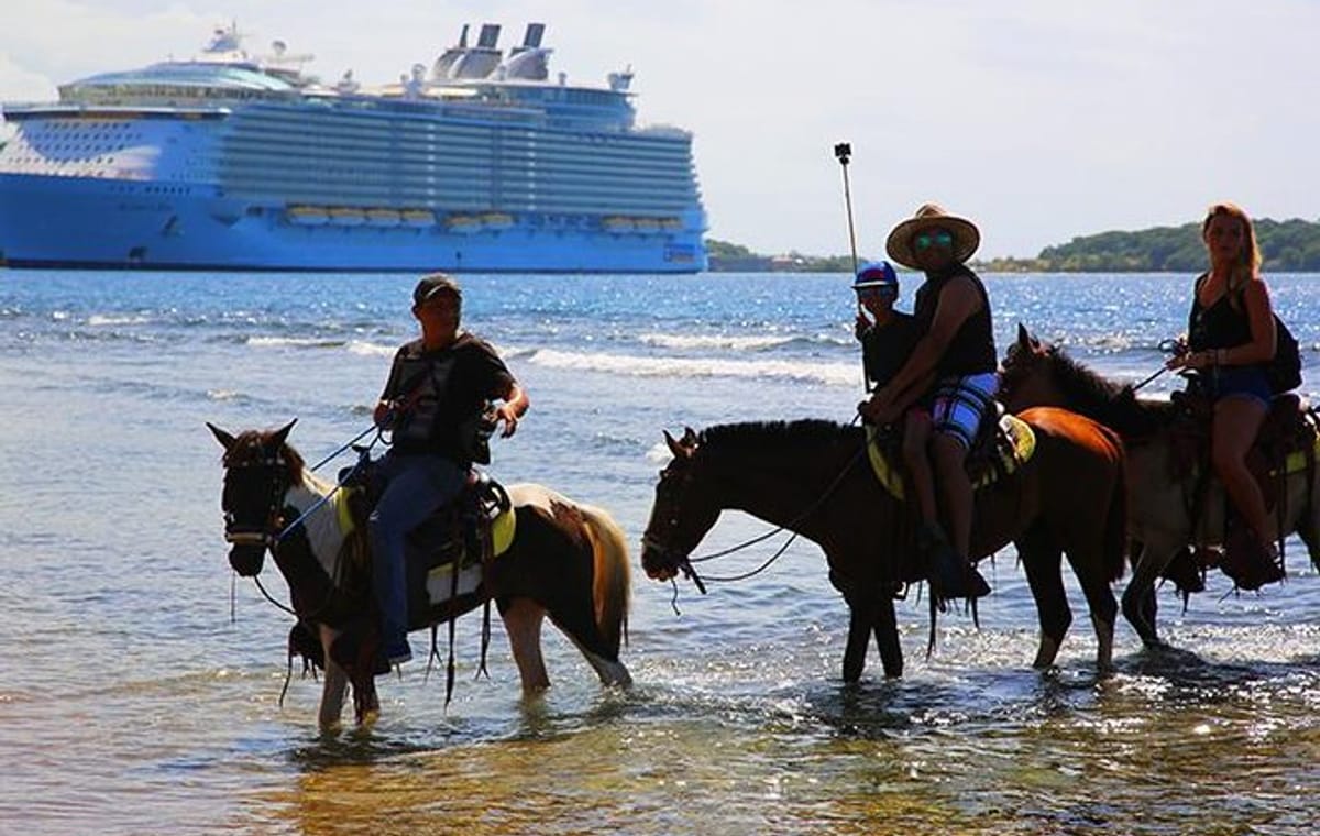 Roatan Beach Horseback Riding, Sightseeing, Beach Break plus Transfer