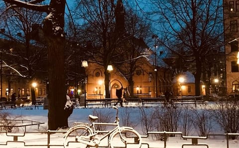 Walking Tour of Stockholm's Christmas Markets and Traditions