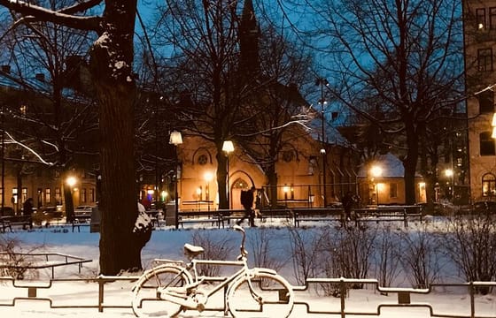 Stockholm Christmas Markets Guided Walking Tour