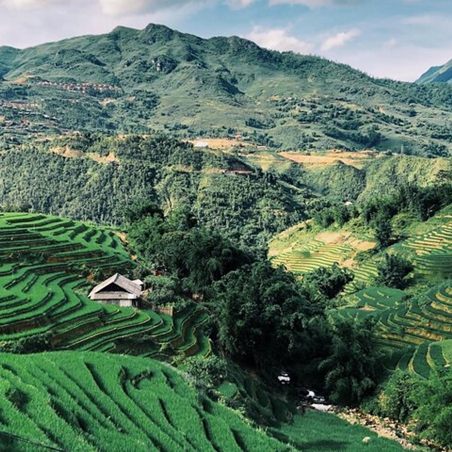Private Half-Day Tour of Villages, Terrace Rice Fields by Car