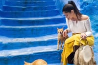 Explore artisan shops and colorful textiles in a truly unique Moroccan town.