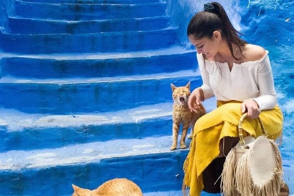 Private Chefchaouen Day Trip from Tangier with Local Guide 