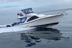 Transfer from Santa Cruz Island to San Cristobal Island - Musement