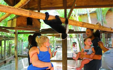 Roatan Jungle Zipline and Wildlife Encounter Tour