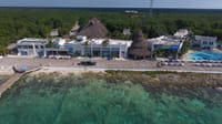Buceo con Delfines en Cozumel 4