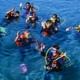 Scuba Diving