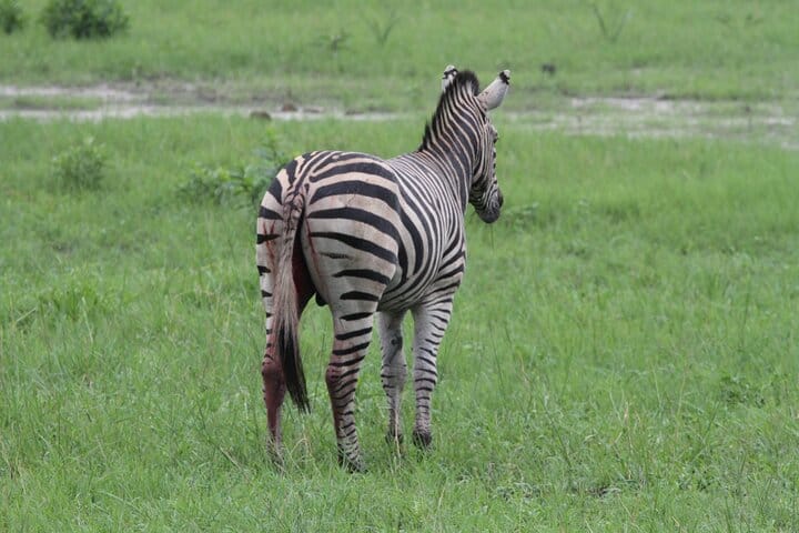 15 minutes scenic helicopter flight above Victoria Falls-Zimbabwe