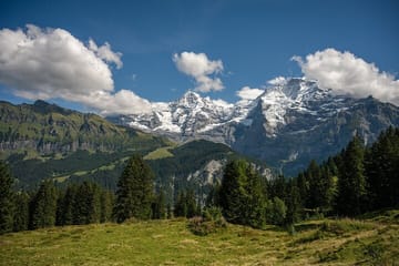 Guided Murren Panoramic Walk with Alpine Views and Meadows