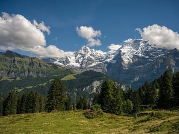 Murren Panoramic Walk: Alpine Views & Meadows