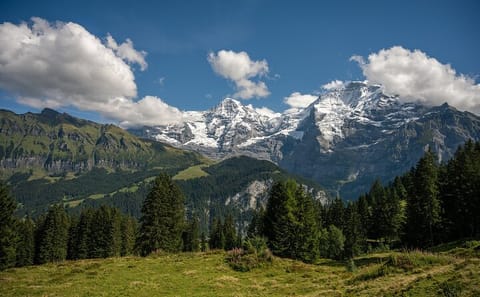 Guided Murren Panoramic Walk with Alpine Views and Meadows