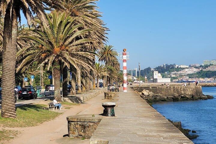 PORTO-GAIA-MATOSINHOS: Private Panoramic Tour from Porto