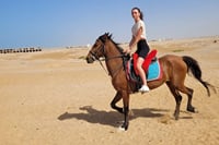 One Hour Horseback Riding Trip with Transfer - Sharm El Sheikh