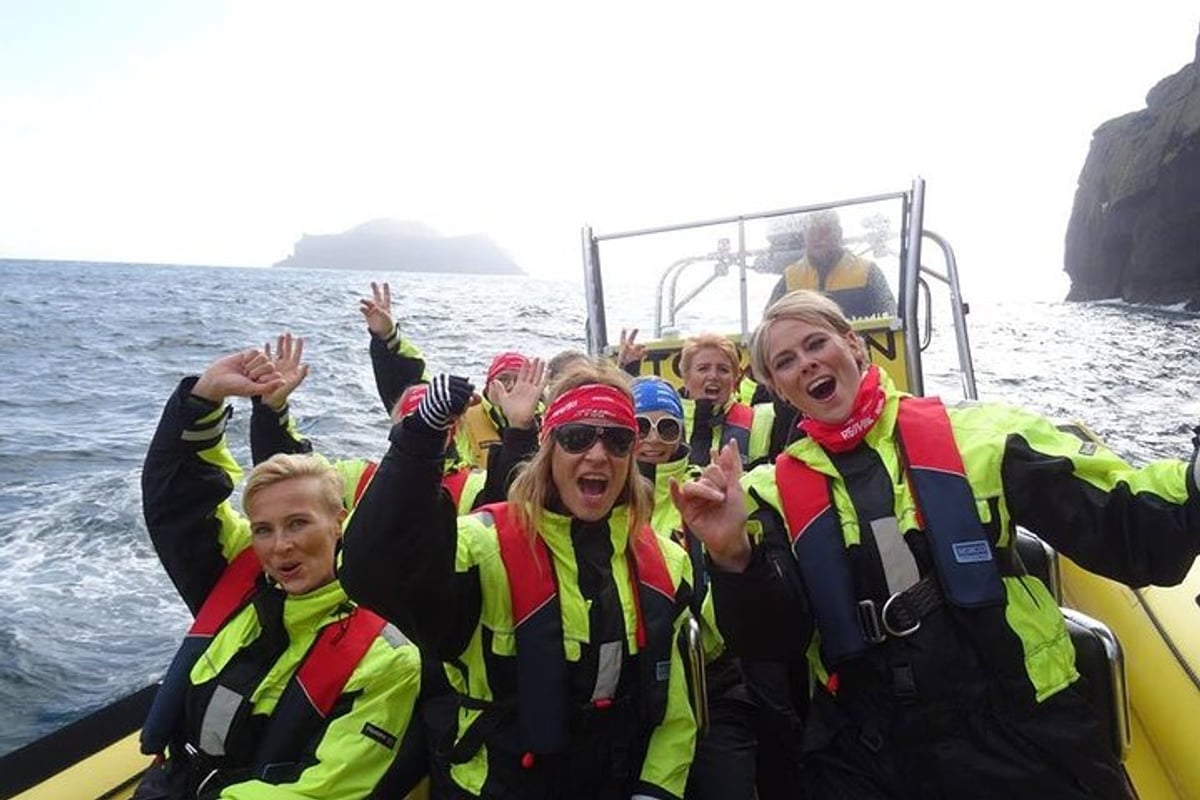 1-Hour RIB Boat Tour, Iceland