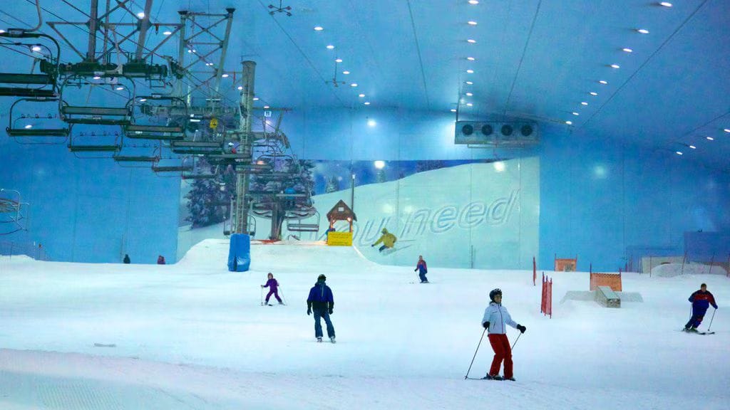 Ski Dubai Snow - Plus tour & Desert Safari with BBQ Dinner 3