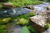 Fishing Tour from Tbilisi 1