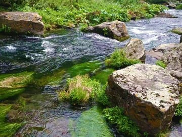 Epic Georgia Journey: 12 Days of Exploration & Charm