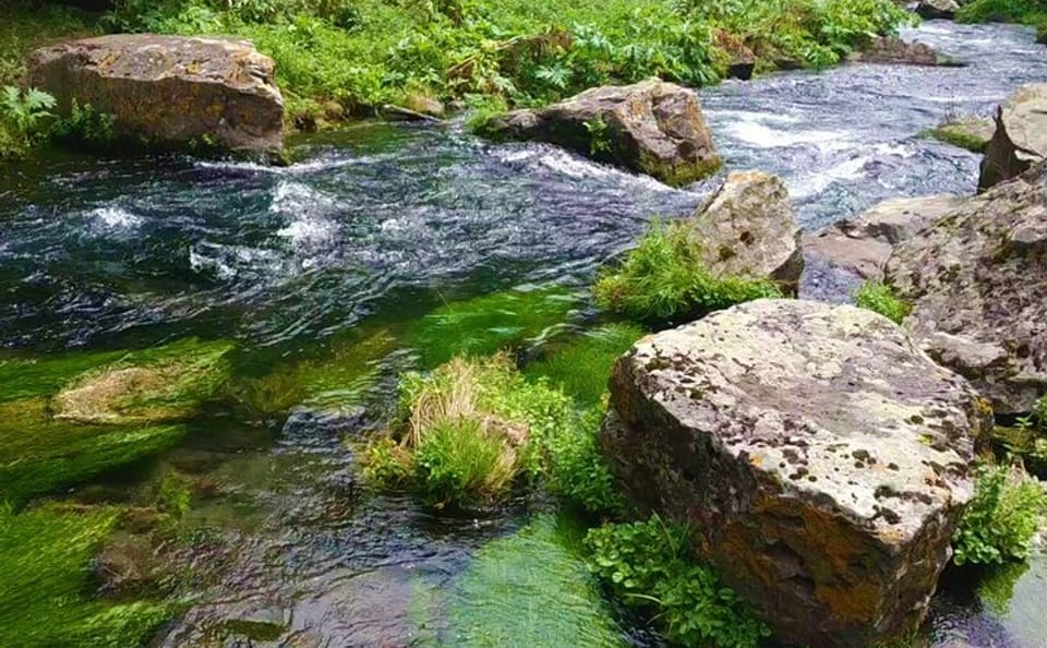 Fishing Adventure in Tsalka from Tbilisi