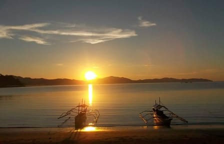 Luli island, cowrie isla, pambato reef Puerto princesa excursion