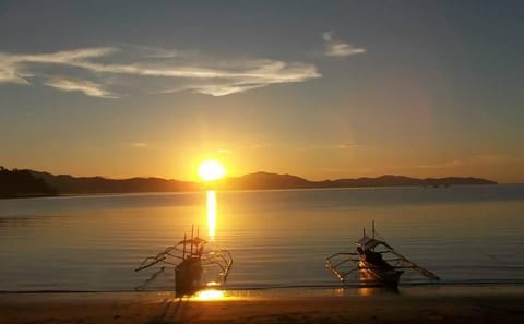 Private Island Hopping Tour to Luli, Cowrie, and Pambato Reef in Puerto Princesa