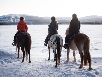 Horseback Riding Tour Through Snowy Landscapes in Kemijärvi