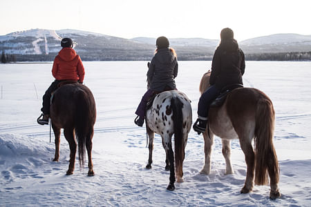 A small group horseback riding tour in the snow