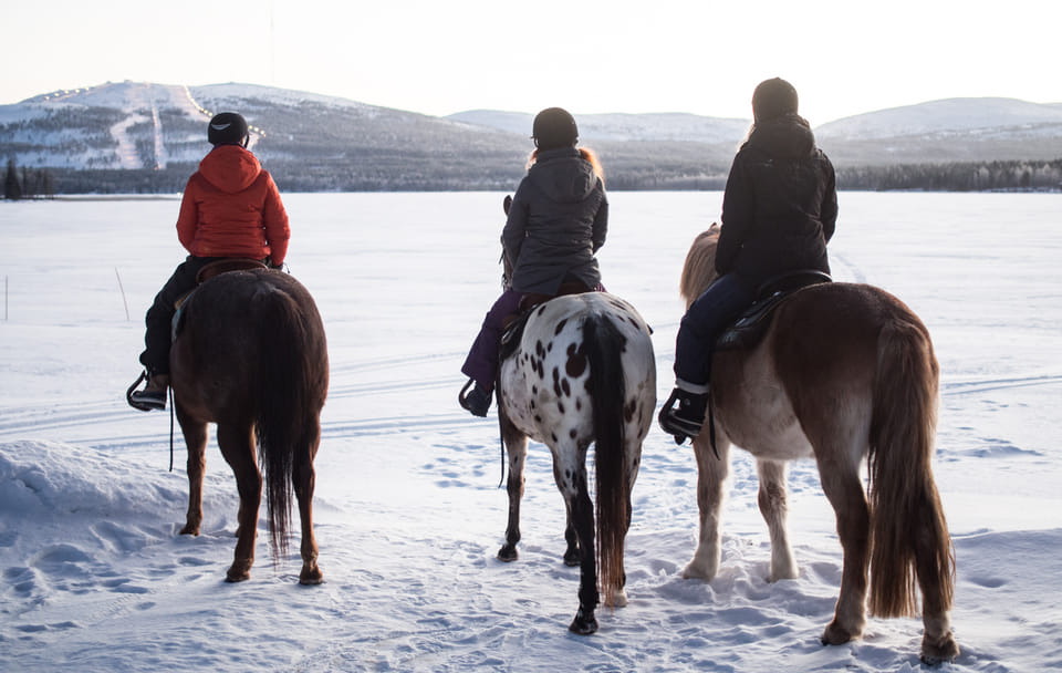 Horseback Riding Tour Through Snowy Landscapes in Kemijärvi