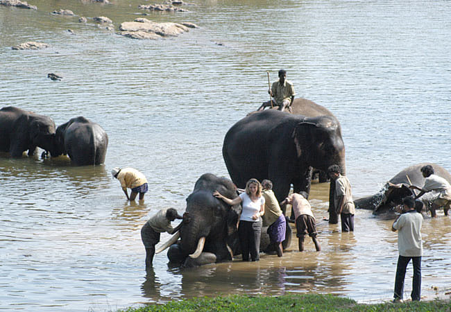 A Private Day Tour from Mysore to Coorg 6