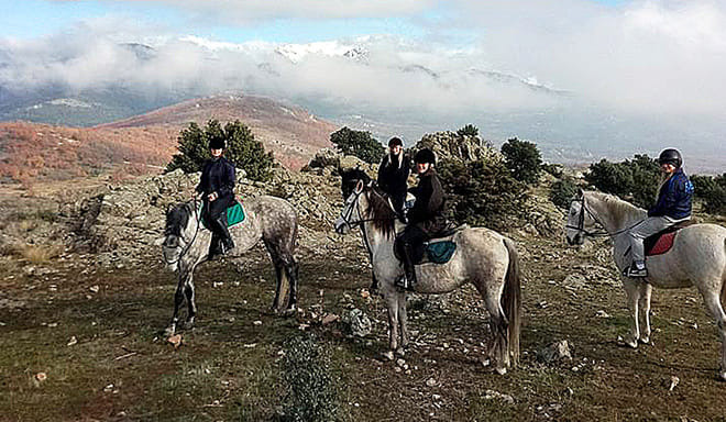 Horseback Riding in Madrid 4