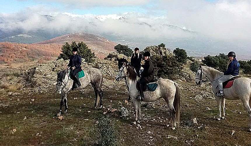 Horseback Riding in Madrid 4