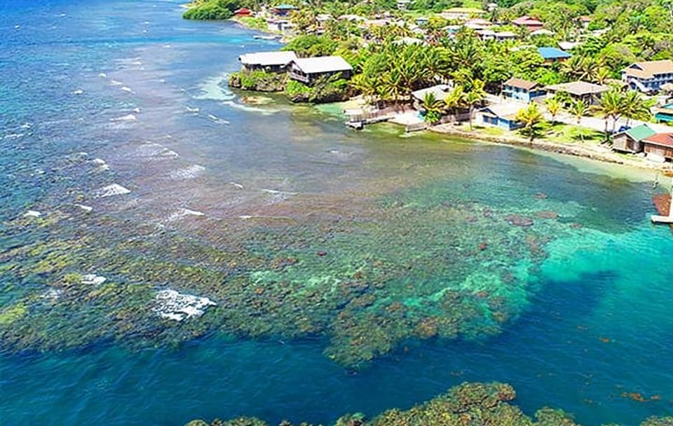 Shore Diving and Snorkeling Tour in Flowers Bay, Honduras