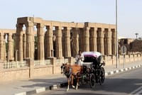 City Tour By Horse Carriage One Hour in Luxor - Luxor