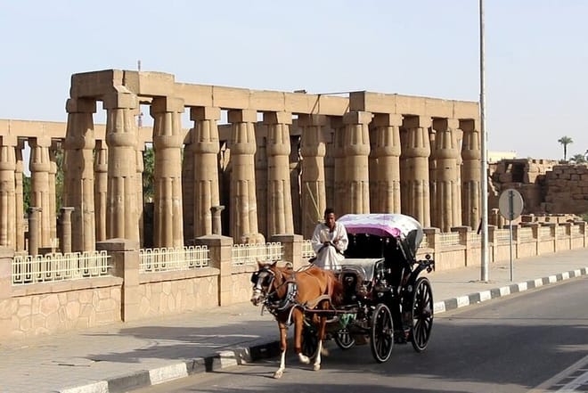 City Tour By Horse Carriage One Hour in Luxor - Luxor