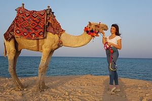 One hour Camel Ride At Amazing Desert With Transfer - Sharm El Sheikh