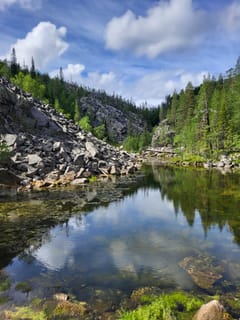 Guided Hike to Pyhä-Luosto National Park - Explore Secrets of Finnish Nature and Finland Deepest Gorge