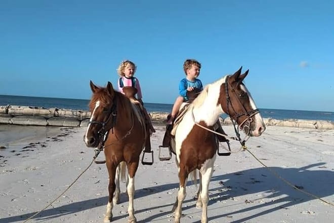 Horseback Riding on the Beaches of Holbox photo 4
