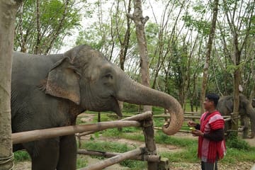 Khaolak Elephant Sanctuary, Cooking Class and Waterfall Tour