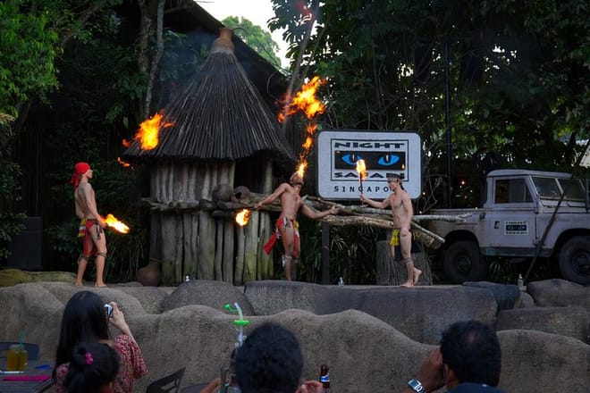 Night Safari Entrance with Private Transfer from Singapore