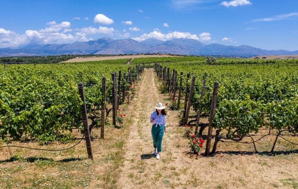 Knossos Palace Olive Press and Winery Luxury Minivan Tour