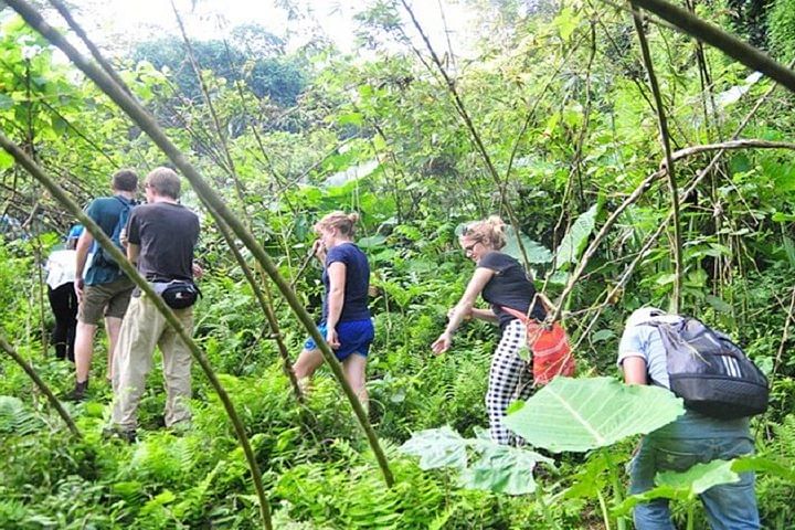 Ba Be National Park Jungle Trekking & Caving Adventure