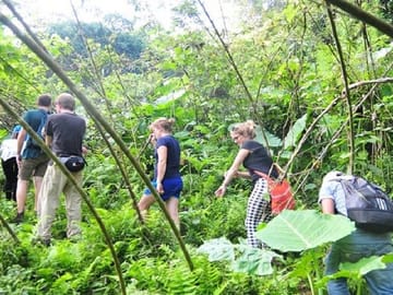 Four-Day Trekking and Caving Tour in Ba Be National Park