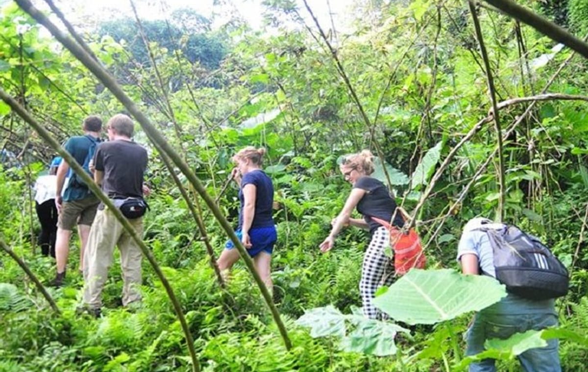 Ba Be National Park trekking & Caving 4 days