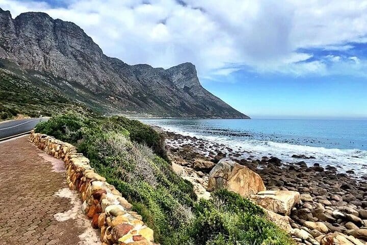 Hermanus Private Full-Day Tour: Whale Watching Adventure