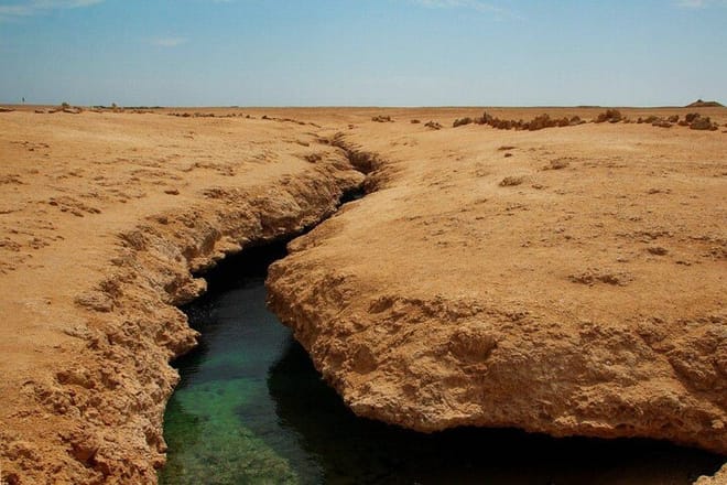 Ras Mohamed National Park Half Day Tour by Bus In Sharm El Sheikh photo 6