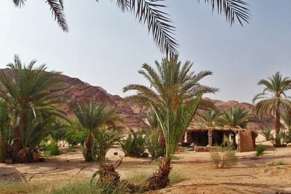 PRIVATE WHITE CANYON & AIN HUDRA JEEP SAFARI